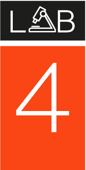 Risorsa 7