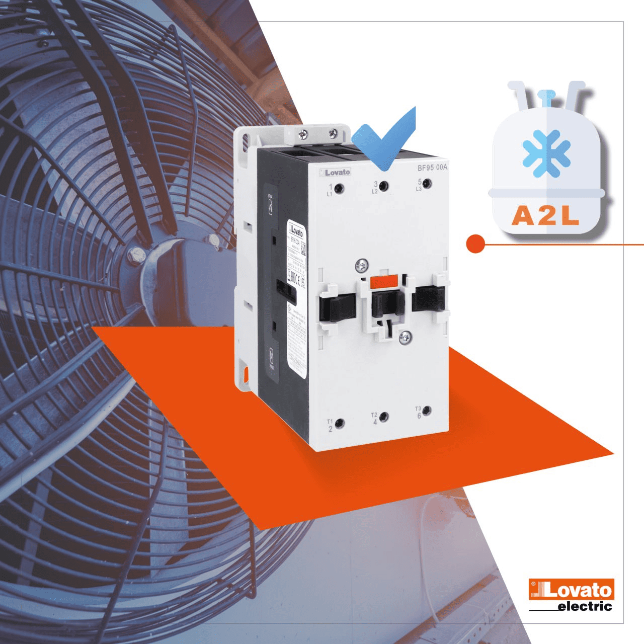LI graphic-2